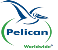 Pelican