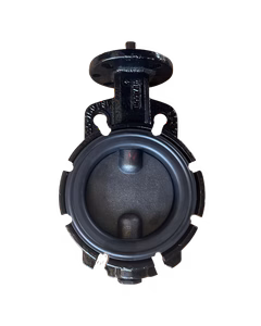 4" Butterfly Valve, Ductile Body