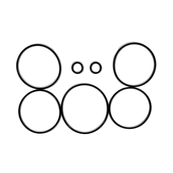 O-RING KIT, BUNA,SPS 4-WAY VLV