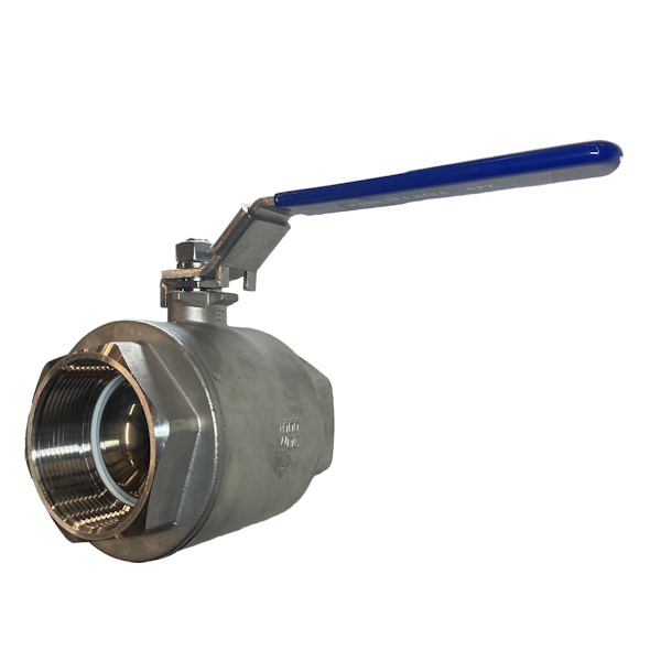 BVS-FP-NPT-300