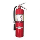 10 LB Fire Extinguisher