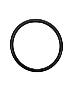 O-RING, 891A (408061)